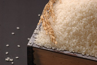 ４４３営農のお米　だいごみ