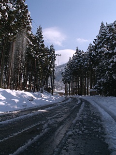 醍醐の冬景色