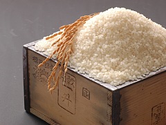 ４４３営農のお米　だいごみ